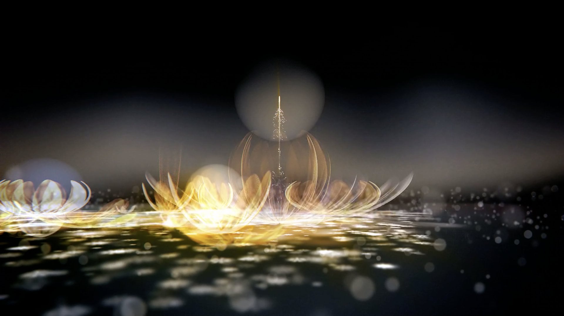 Poster image of Bloom